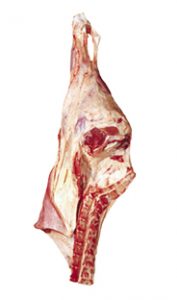 HINDQUARTER - 1010 Image