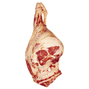 BUTT AND RUMP - 1502 Image