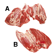 SHIN/SHANK - FOREQUARTER/HINDQUARTER - 2360 Image