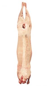 CARCASE PIECES - 4500 Image