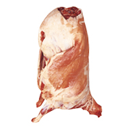 TELESCOPED CARCASE - 4505 Image