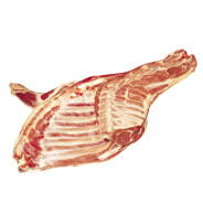 FOREQUARTER - 4972 Image