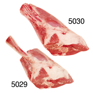 FORESHANK - 5030 Image