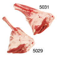 HINDSHANK - 5031 Image