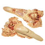 TONGUE - LONG CUT - 6000 Image