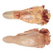 TONGUE - SHORT CUT - 6010 Image