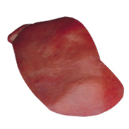 LIVER - 6080 Image