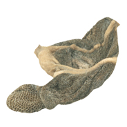 TRIPE - RAW UNSCALDED - 6140 Image