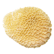 TRIPE - HONEYCOMB - 6152 Image