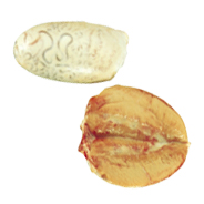 TESTES - 6180 Image
