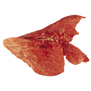 LUNGS - 6210 Image