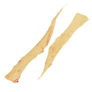 LIGAMENTUM NUCHAE - 6273 Image