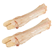 TENDONS - 7091 Image