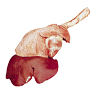 PLUCK - 7140 Image