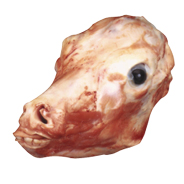 HEAD - 7150 Image